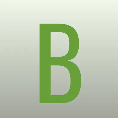 БиБиМани, лизинговая компания, лого-визитка