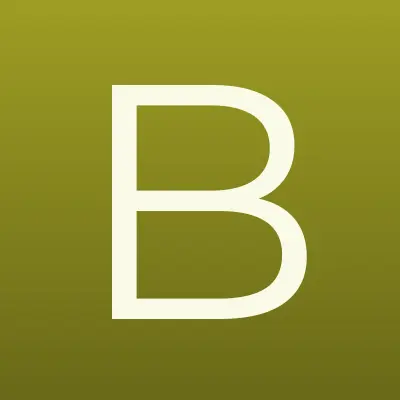 Брас-Сервис, сеть похоронных агентств, лого-визитка