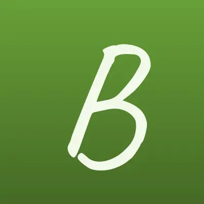 Братская электросетевая компания, лого-визитка