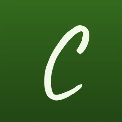 Chek-off, автосервис, лого-визитка