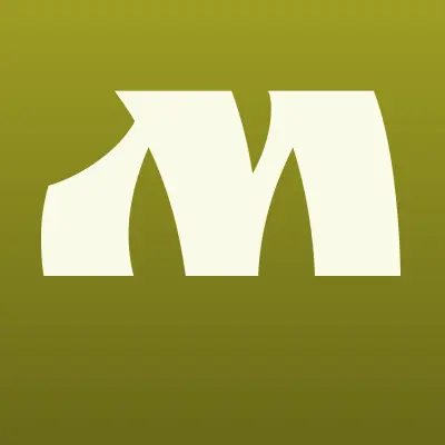 Магазин игрушек, ИП Ваганова Е.В., лого-визитка